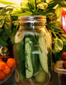 Fast Dill Pickles Recipe