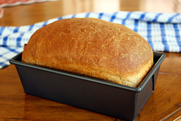 Wheat bread