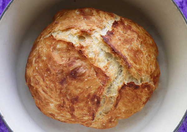 600px x 423px - Fast No Knead Bread, Faster Dutch Oven Bread, Crusty Bread | Jenny Can Cook