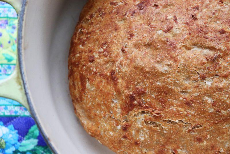 No Knead Multigrain Bread, HIgh Fiber Bread | Jenny Can Cook