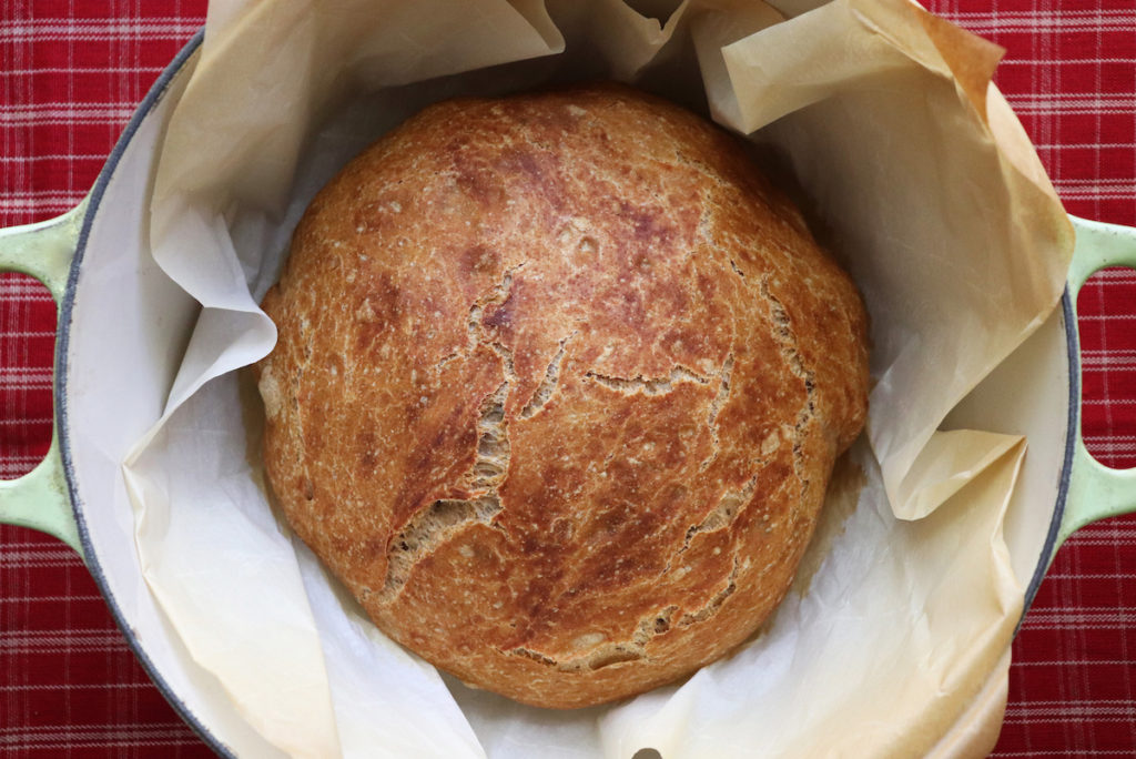 Whole Wheat Dutch Oven Bread | Jenny Can Cook