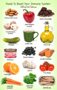 Foods To Boost Your Immune System