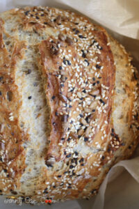 seeded no knead bread pint